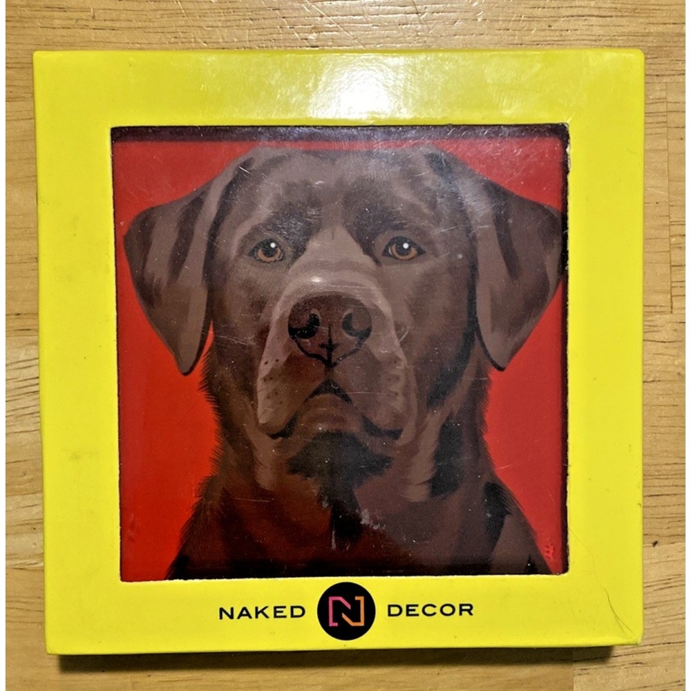 Naked Decor Chocolate Black Lab Labrador Coaster Set NEW in Box